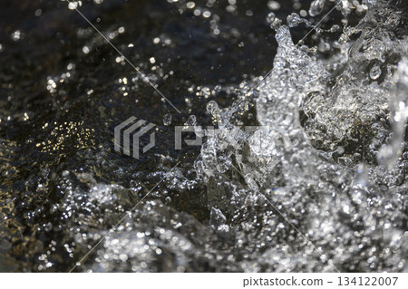 Splashes 134122007