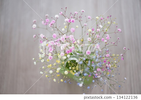 The delicate expression of colorful baby's breath | A gentle landscape filled with pale-hued baby's breath 134122136