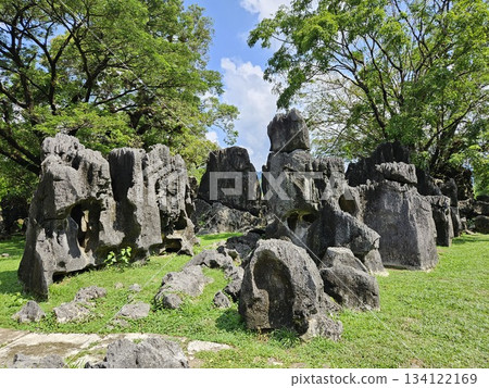 This is national park name leang-leang at Maros  134122169