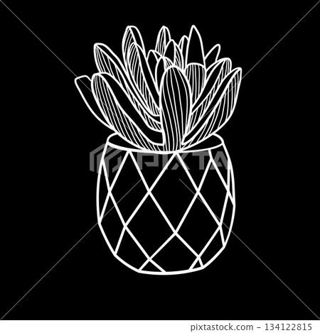 Succulent houseplant in ceramic pot doodle style vector illustration 134122815