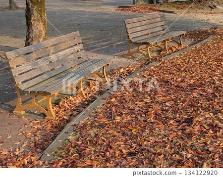 Park bench Park bench 134122920
