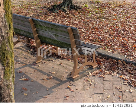 Park bench Park bench 134122921