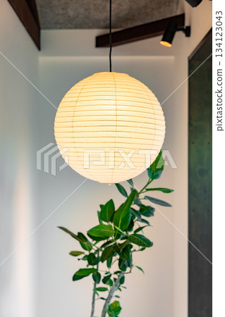 Interior lighting pendant light 134123043