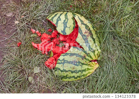 Dropped, broken watermelon on the ground Dropped, broken watermelon on the ground 134123378