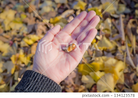 手掌中的橡子 134123578