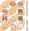 A gathering of dogs 134123582