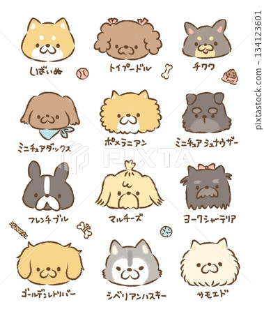 一群沒有背景的狗 134123601