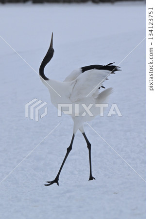 Dandoral cranes Dandoral cranes 134123751