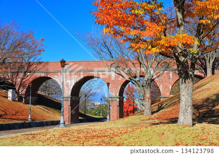 [Ehime Prefecture] Fujiyama Health and Culture Park on a clear day 134123798