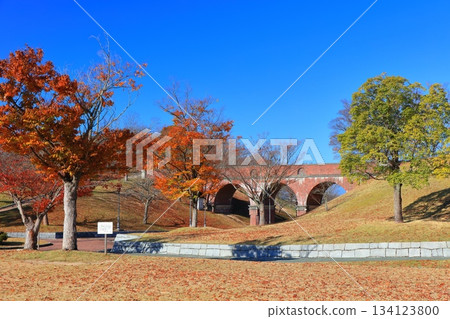 【愛媛郡】晴天的富士山健康文化公園 134123800