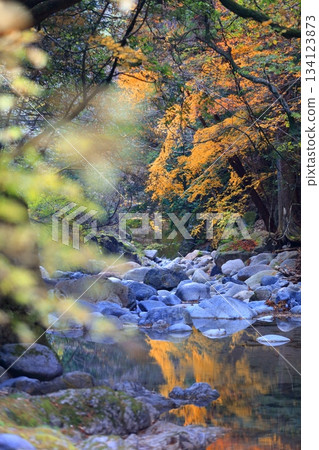 [Ehime Prefecture] Autumn leaves at Nibukawa Valley 134123873