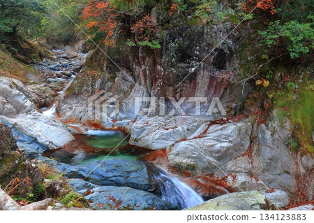 【愛媛郡】二淵川的秋葉 134123883