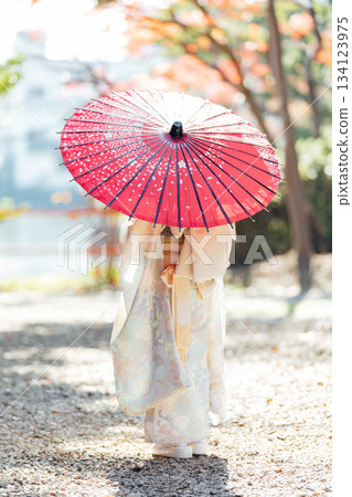 一位女孩在神社裡撐著一把日式傘，向七五三祈禱。 134123975