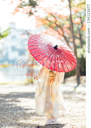 一位女孩在神社裡撐著一把日式傘，向七五三祈禱。 134123977