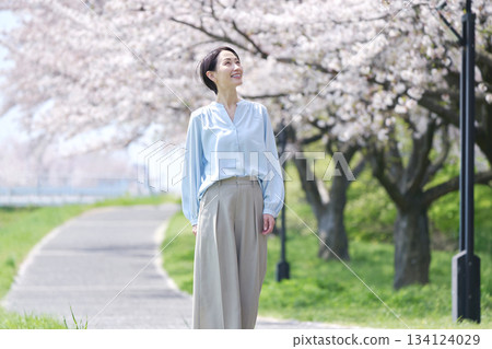 Cherry blossoms in full bloom and a woman walking along a promenade Cherry blossoms in full bloom and a woman walking along a promenade 134124029
