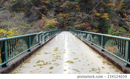 Sumatakyo Valley Hiryu Bridge Sumatakyo Valley Hiryu Bridge 134124039
