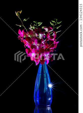 花瓶裡的藍色石斛蘭蝴蝶蘭 花瓶裡的藍色石斛蘭蝴蝶蘭 134124315
