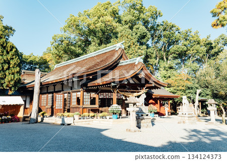 愛知縣知立神社 愛知縣知立神社 134124373