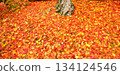 Autumn leaves carpet 134124546