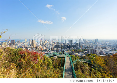 View of Kobe cityscape from Venus Bridge 134125197