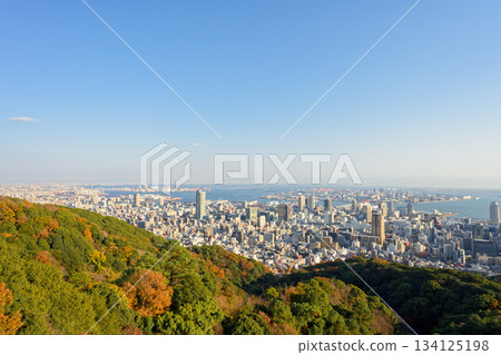 從錨山眺望神戶城市景觀 134125198