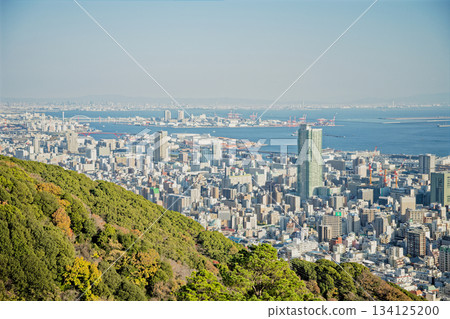 從錨山眺望神戶城市景觀 從錨山眺望神戶城市景觀 134125200