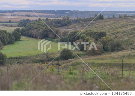 A Beautiful Scenic Landscape Showcasing Lush Green Fields and Gently Rolling Hills 134125493