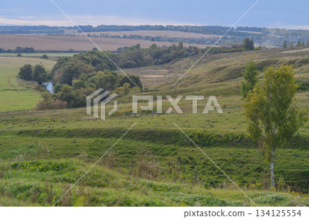 A Serene Landscape showcasing Rolling Hills accompanied by a Gentle Stream flowing peacefully A Serene Landscape showcasing Rolling Hills accompanied by a Gentle Stream flowing peacefully 134125554
