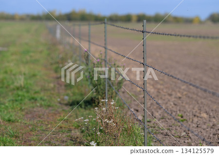 A Barbed Wire Fence is Positioned Alongside an Agricultural Field in a Beautiful Sunny Landscape A Barbed Wire Fence is Positioned Alongside an Agricultural Field in a Beautiful Sunny Landscape 134125579