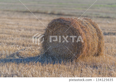 A Golden Hay Bale is prominently displayed in a Serene Field Landscape that evokes peace A Golden Hay Bale is prominently displayed in a Serene Field Landscape that evokes peace 134125635
