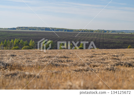 A Serene and Picturesque Landscape Featuring Dried Fields Complemented by Lush Green Hills A Serene and Picturesque Landscape Featuring Dried Fields Complemented by Lush Green Hills 134125672