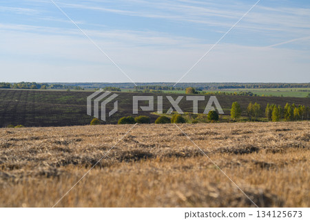 A Beautiful Panoramic View of Lush Green Fields Under a Bright Blue Sky in Nature 134125673