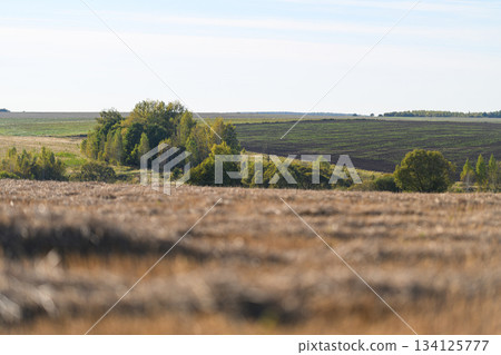 A Breathtaking Lush Green Landscape Showcasing Rolling Hills Beneath a Beautiful Blue Sky Above A Breathtaking Lush Green Landscape Showcasing Rolling Hills Beneath a Beautiful Blue Sky Above 134125777