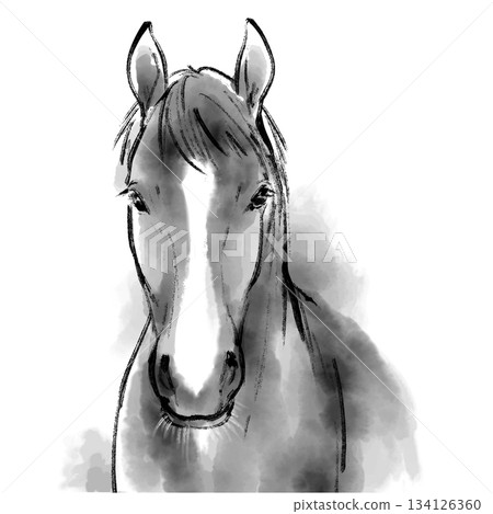 A monochrome ink painting of a horse with a gentle expression. Year of the Horse, Japanese style. New Year's card. A monochrome ink painting of a horse with a gentle expression. Year of the Horse, Japanese style. New Year's card. 134126360