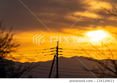 Electric wires shining in the sunset Electric wires shining in the sunset 134126613