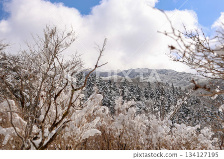 Snowy mountain path Snowy mountain path 134127195