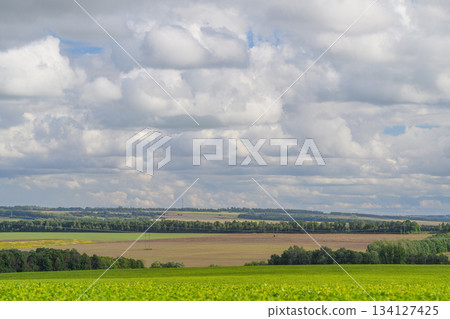 A Beautiful and Picturesque Landscape Featuring Lush Green Fields and a Dramatic, Cloudy Sky 134127425