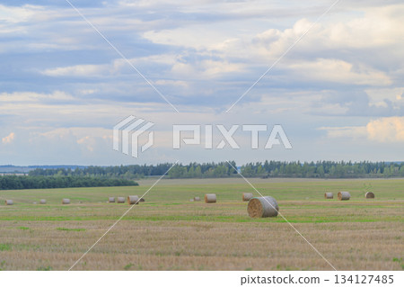 A Beautiful and Scenic Landscape Featuring Hay Bales Set Under a Dramatic Cloudy Sky A Beautiful and Scenic Landscape Featuring Hay Bales Set Under a Dramatic Cloudy Sky 134127485