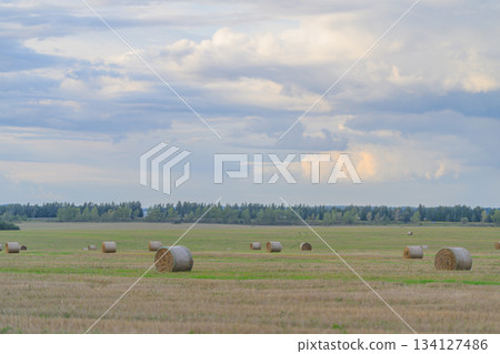 A Serene and Picturesque Landscape Featuring Hay Bales Set Against a Dramatic Sky A Serene and Picturesque Landscape Featuring Hay Bales Set Against a Dramatic Sky 134127486