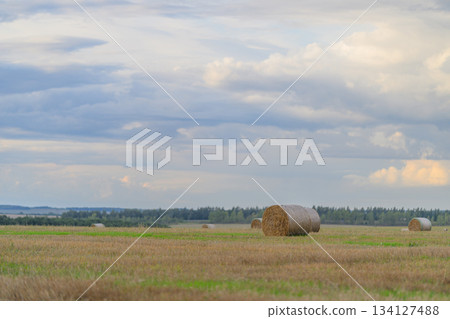 A Serene Countryside Landscape Features Hay Bales Located Beneath a Beautiful Cloudy Sky A Serene Countryside Landscape Features Hay Bales Located Beneath a Beautiful Cloudy Sky 134127488