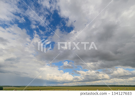 An Expansive and Beautiful Cloudy Sky Spreading Over the Open and Green Fields Dotted with Flora 134127683