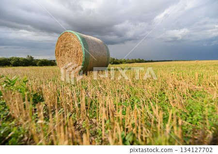 A Vibrant Agricultural Landscape Featuring a Hay Bale Set Against Dramatic, Striking Clouds 134127702