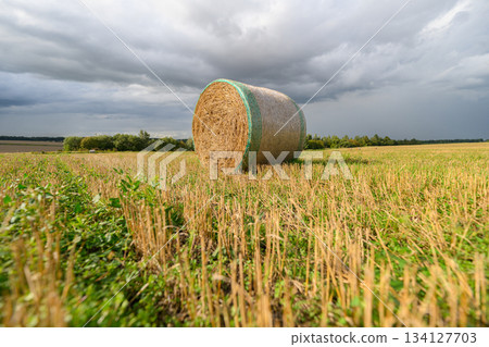 A Colorful Hay Bale Positioned in an Expansive Field Under Dramatic, Dynamic Clouds Above A Colorful Hay Bale Positioned in an Expansive Field Under Dramatic, Dynamic Clouds Above 134127703