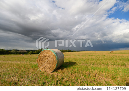 Rolling a large Hay Bale across a Scenic Field while Dramatic Clouds dominate the sky above Rolling a large Hay Bale across a Scenic Field while Dramatic Clouds dominate the sky above 134127709