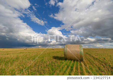 A beautiful scenic landscape featuring a hay bale perfectly set beneath a bright blue sky A beautiful scenic landscape featuring a hay bale perfectly set beneath a bright blue sky 134127714