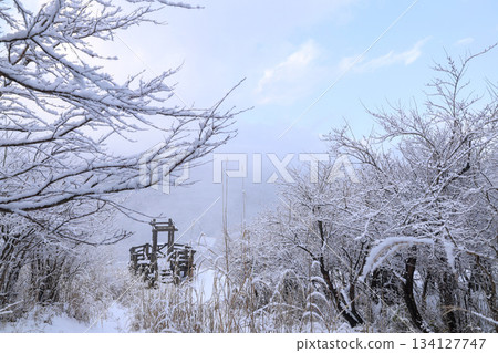 Snowy mountain path 134127747