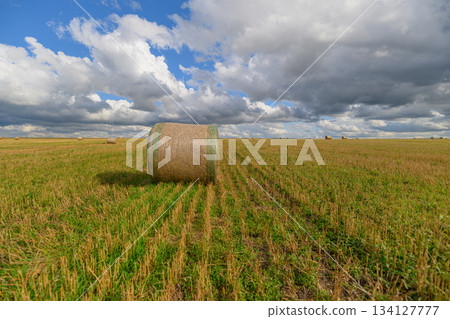 A Rolling Hay Bale is Positioned in a Beautiful Green Field Beneath a Dramatic Sky Above 134127777