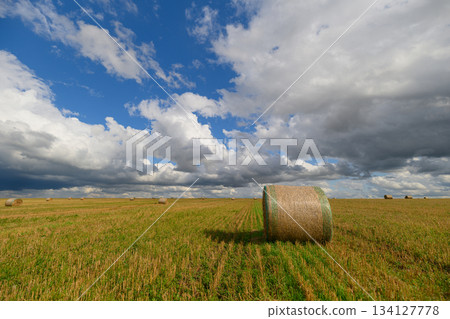 A Large, Round Bale of Hay Resting in an Expansive Open Field Beneath Dramatic Skies 134127778