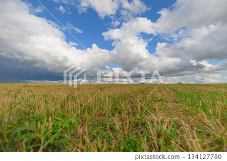 A Vast Open Field Spread Beneath a Dramatic and Beautiful Cloudy Sky During the Day A Vast Open Field Spread Beneath a Dramatic and Beautiful Cloudy Sky During the Day 134127780