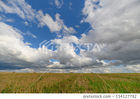 A Beautiful Expansive Sky with Dramatic Clouds Looming Over a Grassy Landscape Below A Beautiful Expansive Sky with Dramatic Clouds Looming Over a Grassy Landscape Below 134127782